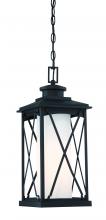  72684-66 - 1 LIGHT CHAIN HUNG OUTDOOR