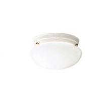  209WH - Flush Mount 2Lt