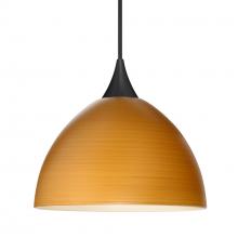 Besa Lighting 1XC-4679OK-LED-BK - Besa Pendant Brella, Black Finish, Oak 1x6W LED