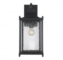  5-3452-BK - Dunnmore 1-Light Outdoor Wall Lantern in Black