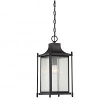  5-3455-BK - Dunnmore 1-Light Outdoor Hanging Lantern in Black
