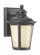  88240D-780 - Cape May traditional 1-light outdoor exterior small Dark Sky compliant wall lantern sconce in burled