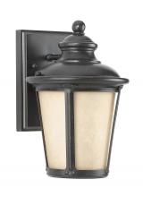  88240DEN3-780 - Cape May traditional 1-light LED outdoor exterior small Dark Sky compliant wall lantern sconce in bu