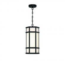  42691-013 - 18" Outdoor LED Pendant