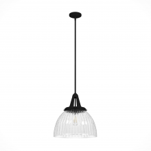  19251 - Hunter Cypress Grove Natural Black Iron with Clear Holophane Glass 1 Light Pendant Ceiling Light Fix