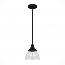  19229 - Hunter Cypress Grove Natural Black Iron with Clear Holophane Glass 1 Light Pendant Ceiling Light Fix