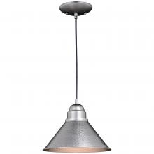  T0493 - Outland 10-in Outdoor Pendant Light Brushed Pewter