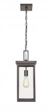  42607-PBZ - Outdoor Hanging Lantern