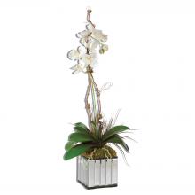 60122 - Uttermost White Kaleama Orchids