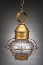 2532-AB-MED-CLR - Caged Onion Hanging Antique Brass Medium Base Socket Clear Glass