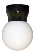  421C-BK - POCKET CEILING LANTERN