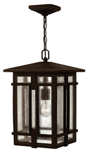  1962OZ - Medium Hanging Lantern